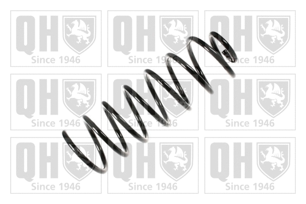 Suspension Spring (QCS5500)