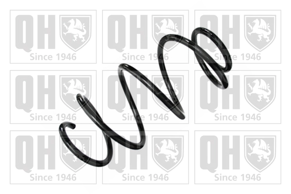 Suspension Spring (QCS8454)