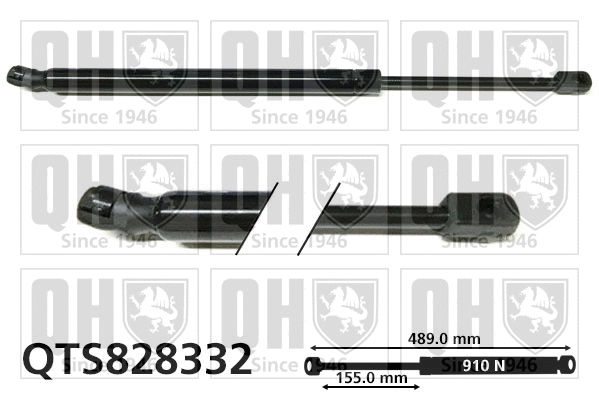 Gas Spring, boot/cargo area (QTS828332)