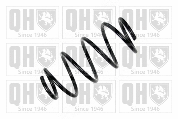 Suspension Spring (QCS5829)