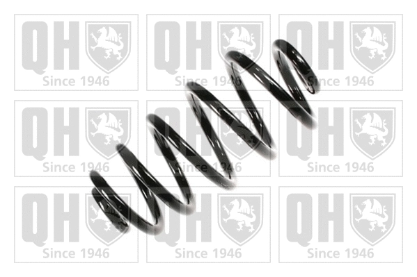 Suspension Spring (QCS6152)