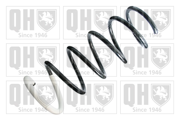 Suspension Spring (QCS8408)