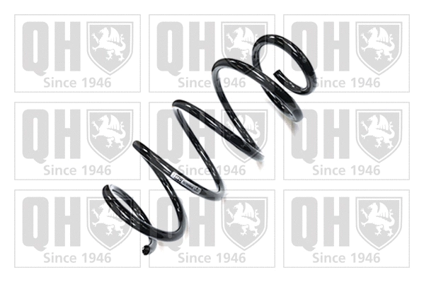 Suspension Spring (QCS5904)