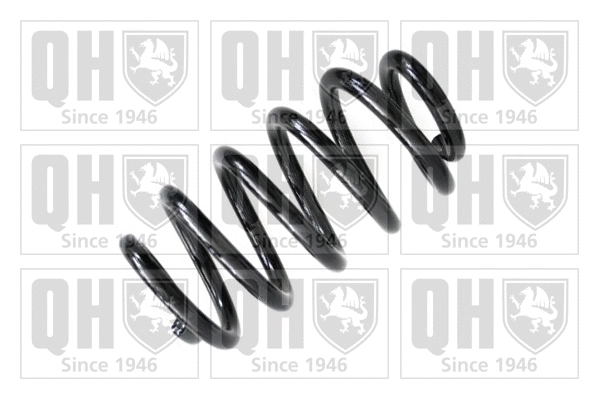 Suspension Spring (QCS6595)