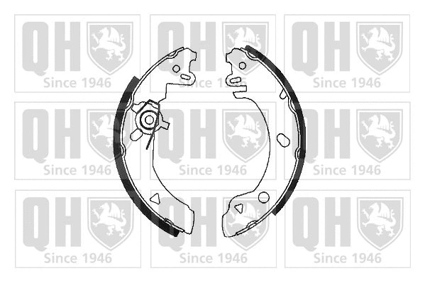 Brake Shoe Set (BS802)