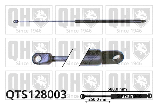 Gas Spring, boot/cargo area (QTS128003)