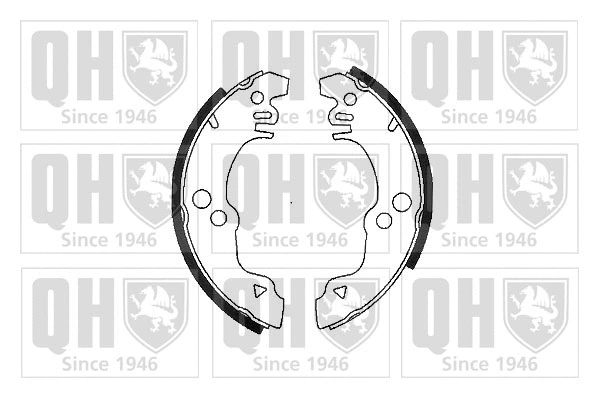 Brake Shoe Set (BS542)