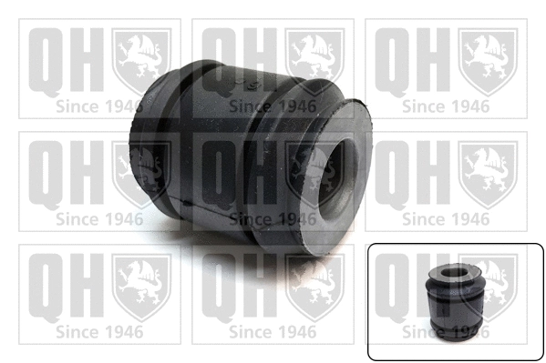 Mounting, control/trailing arm (EMS8674)