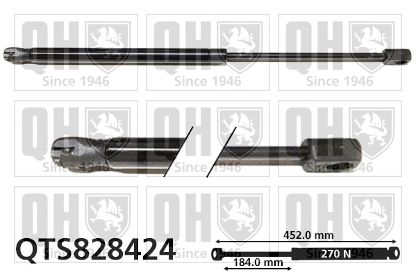 Gas Spring, boot/cargo area (QTS828424)