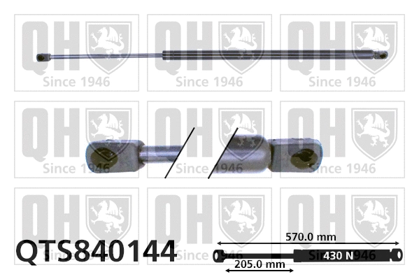 Gas Spring, boot/cargo area (QTS840144)
