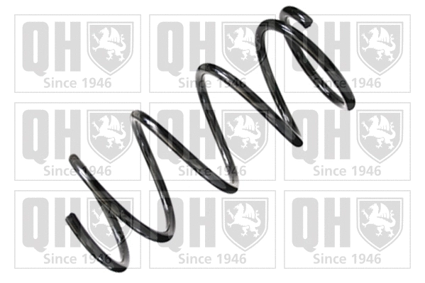 Suspension Spring (QCS8037)