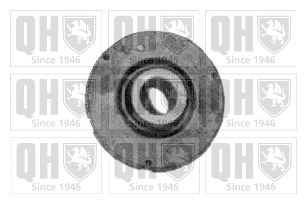 Mounting, control/trailing arm (EMS2447)