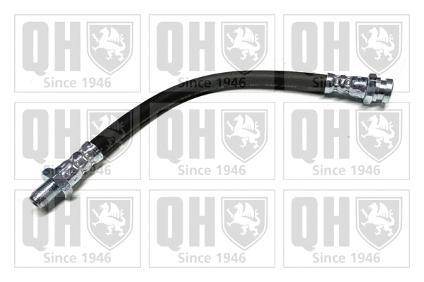 Brake Hose (BFH6132)