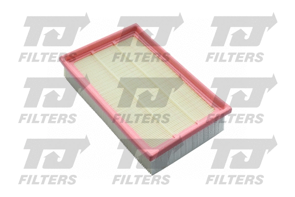 Air Filter (QFA0765)