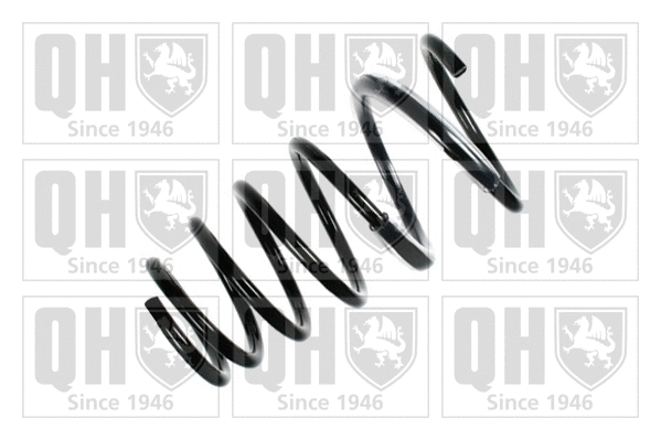 Suspension Spring (QCS6463)