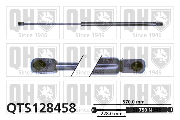 Gas Spring, boot/cargo area (QTS128458)