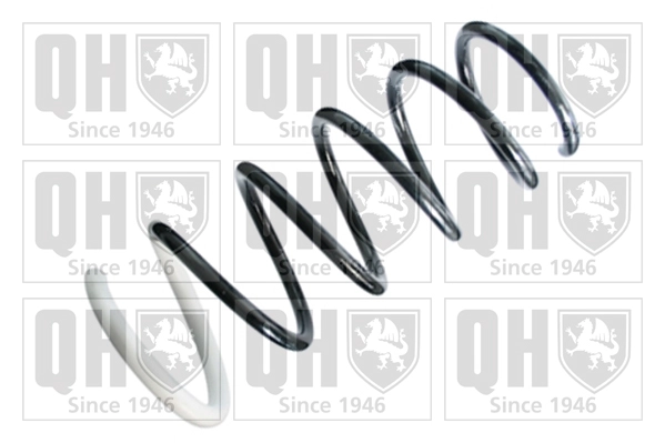 Suspension Spring (QCS8411)