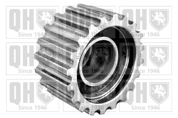 Deflection/Guide Pulley, timing belt (QTT876)