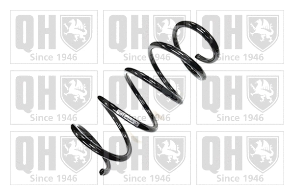 Suspension Spring (QCS6163)