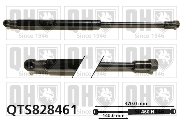 Gas Spring, boot/cargo area (QTS828461)