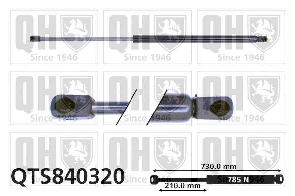 Gas Spring, boot/cargo area (QTS840320)