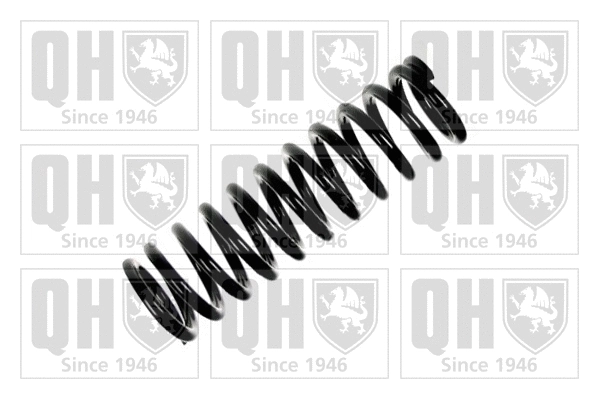 Suspension Spring (QCS6919)