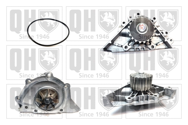 Water Pump, engine cooling (QCP3492)