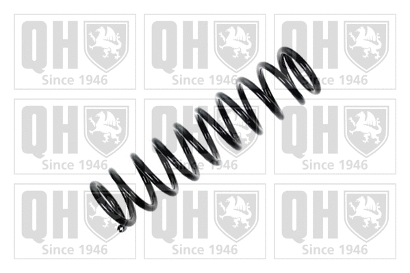 Suspension Spring (QCS5153)
