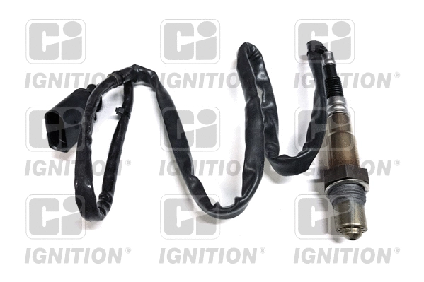 Lambda Sensor (XLOS1377)