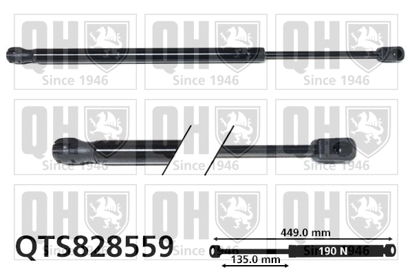 Gas Spring, bonnet (QTS828559)