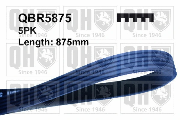 V-Ribbed Belt (QBR5875)