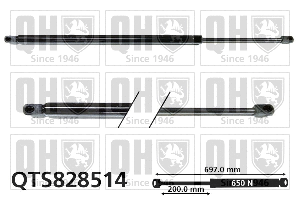 Gas Spring, boot/cargo area (QTS828514)