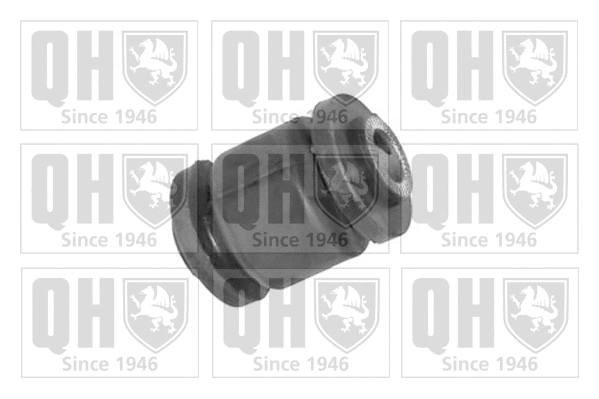 Mounting, control/trailing arm (EMS8469)