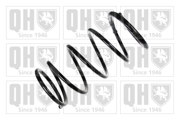 Suspension Spring (QCS6542)