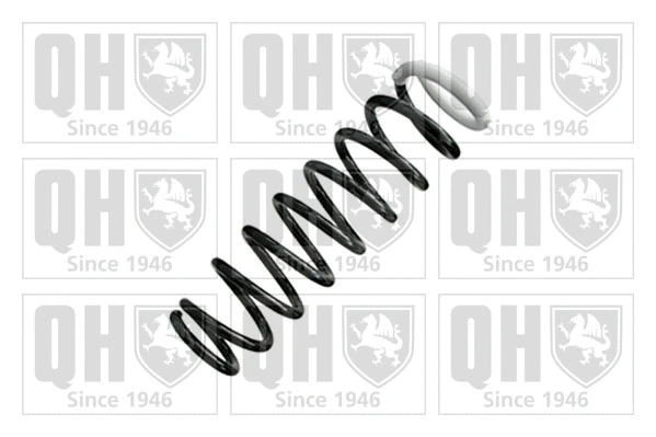 Suspension Spring (QCS7863)