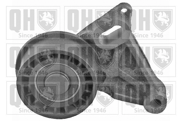 Tensioner Pulley, timing belt (QTT517)