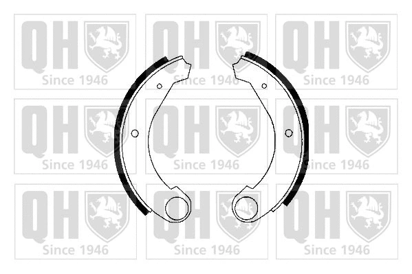 Brake Shoe Set (BS651)