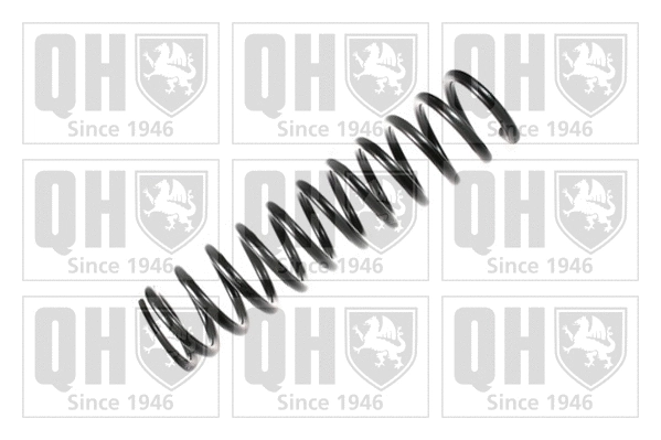 Suspension Spring (QCS5005)