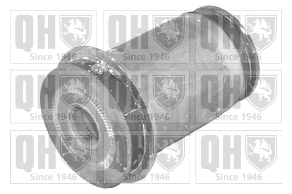 Mounting, control/trailing arm (EMS8015)