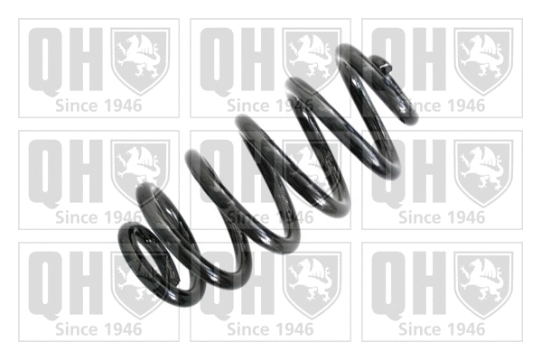 Suspension Spring (QCS6961)