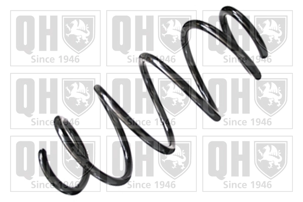 Suspension Spring (QCS8281)