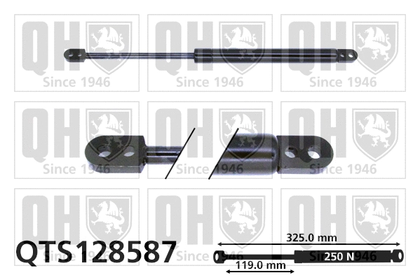 Gas Spring, boot/cargo area (QTS128587)