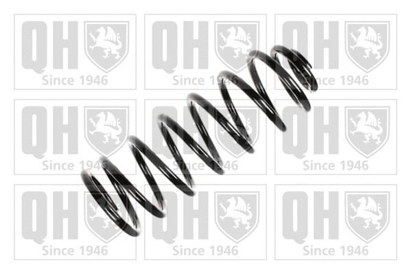 Suspension Spring (QCS6624)