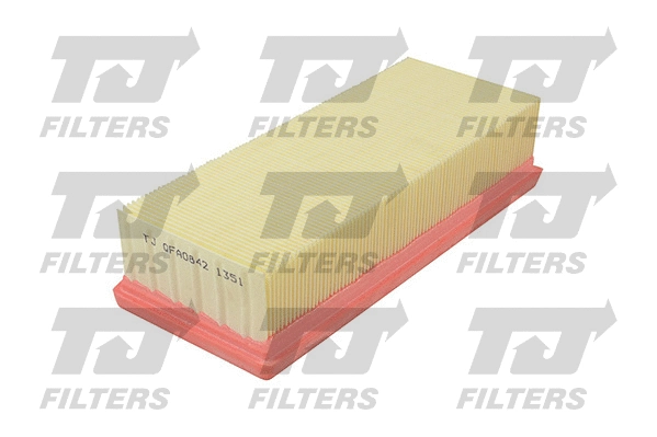Air Filter (QFA0842)
