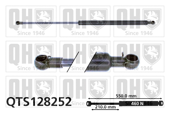 Gas Spring, boot/cargo area (QTS128252)