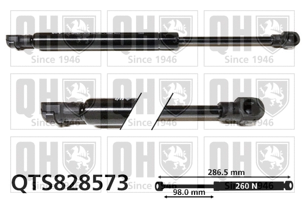 Gas Spring, bonnet (QTS828573)