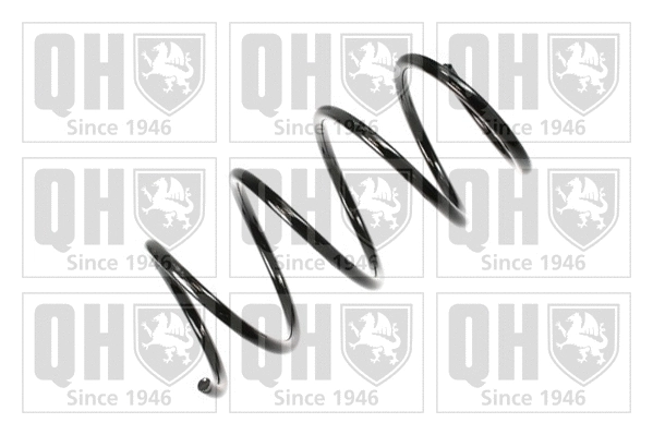 Suspension Spring (QCS7826)