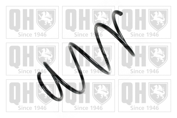 Suspension Spring (QCS6083)
