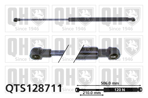 Gas Spring, bonnet (QTS128711)