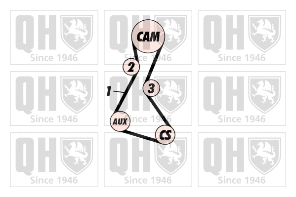Timing Belt Kit (QBK145)